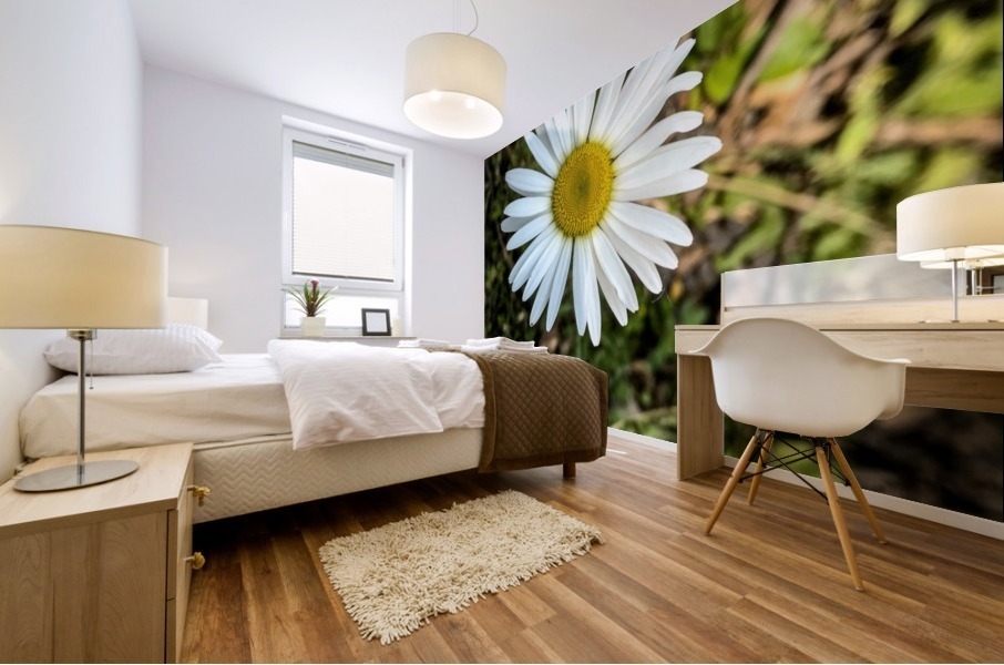 White Daisy  Mural print