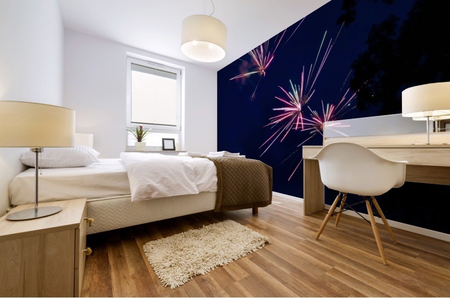 Fireworks 2019 2 Mural print