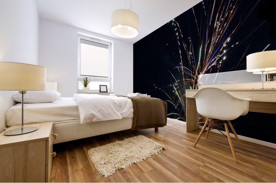 Fireworks 2019 30 Mural print