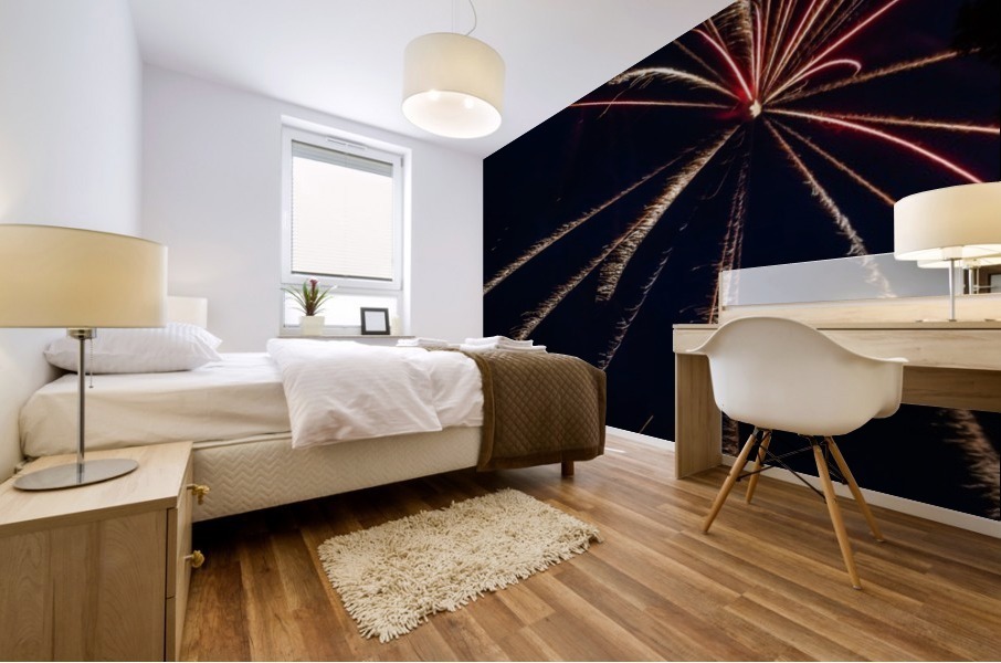 Fireworks 2019 21 Mural print