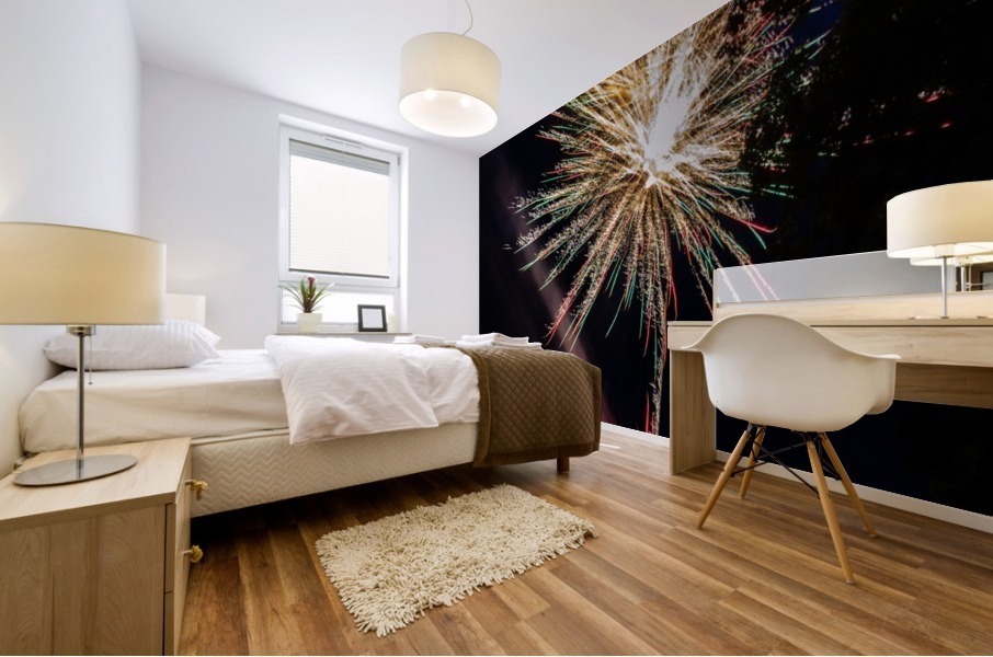 Fireworks 2019 41 Mural print