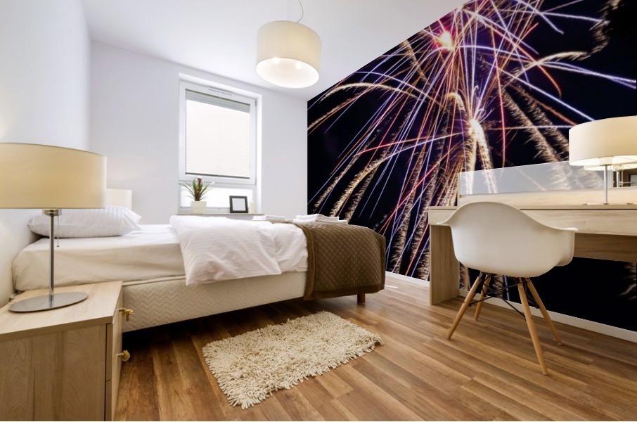 Fireworks 2019 27 Mural print
