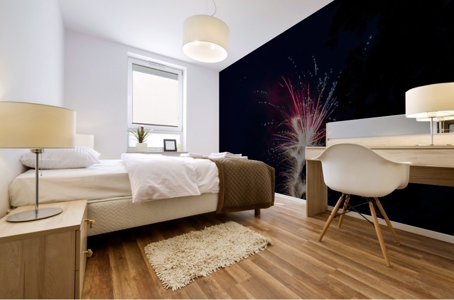 Fireworks 2019 4 Mural print
