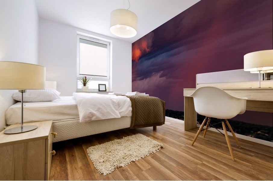 Seneca Storm 2 Mural print