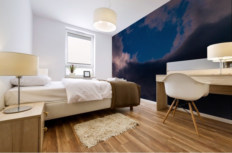 Seneca Storm 3 Mural print