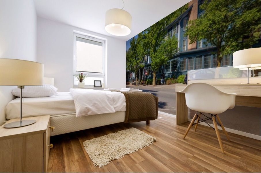 Skaneateles 8 Mural print