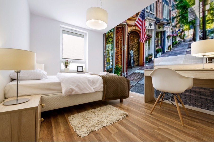 Skaneateles 4 Mural print