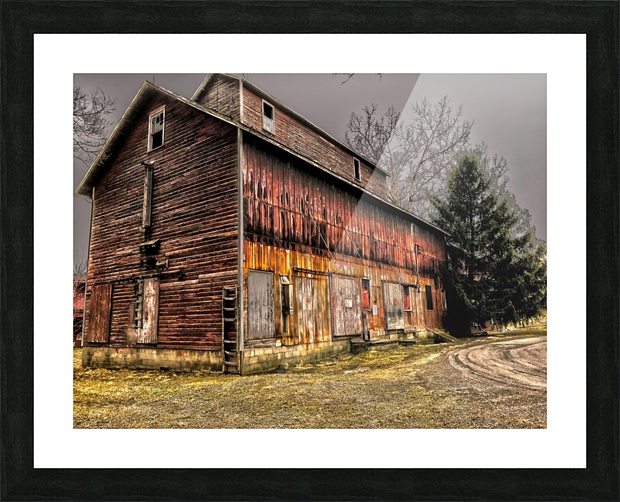 Steadfast Picture Frame print