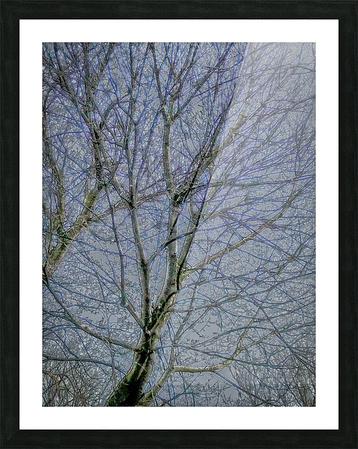 Frozen Tree Picture Frame print