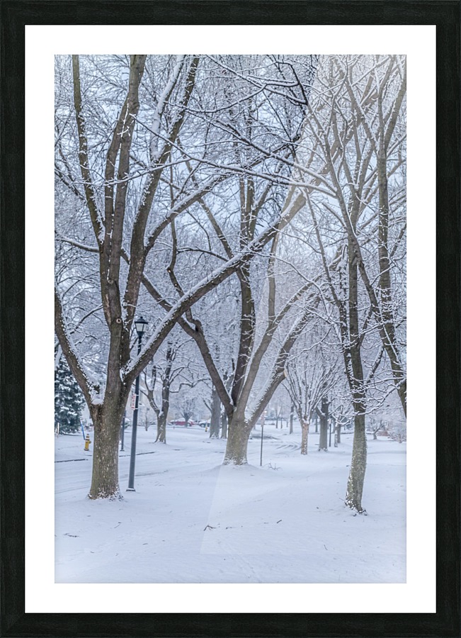 Winter punch Picture Frame print