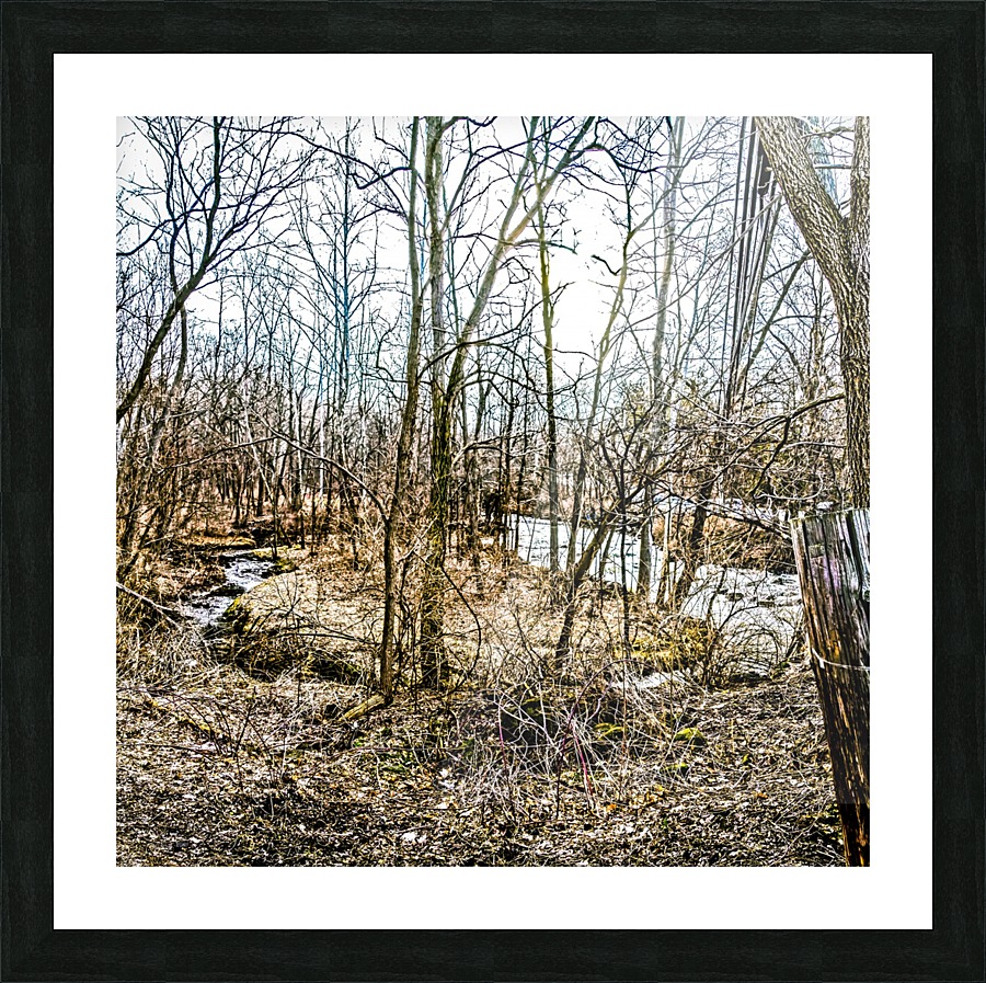 Forest pano Picture Frame print