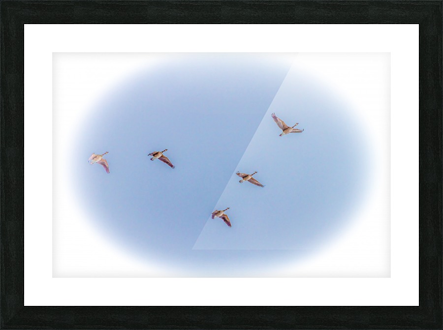 Heading North Picture Frame print