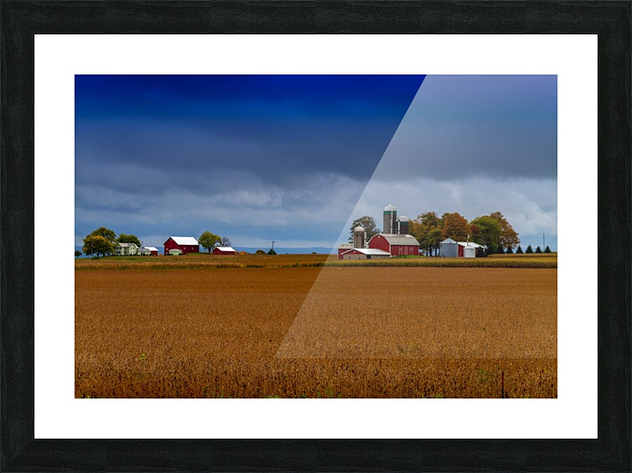 The Farm Picture Frame print