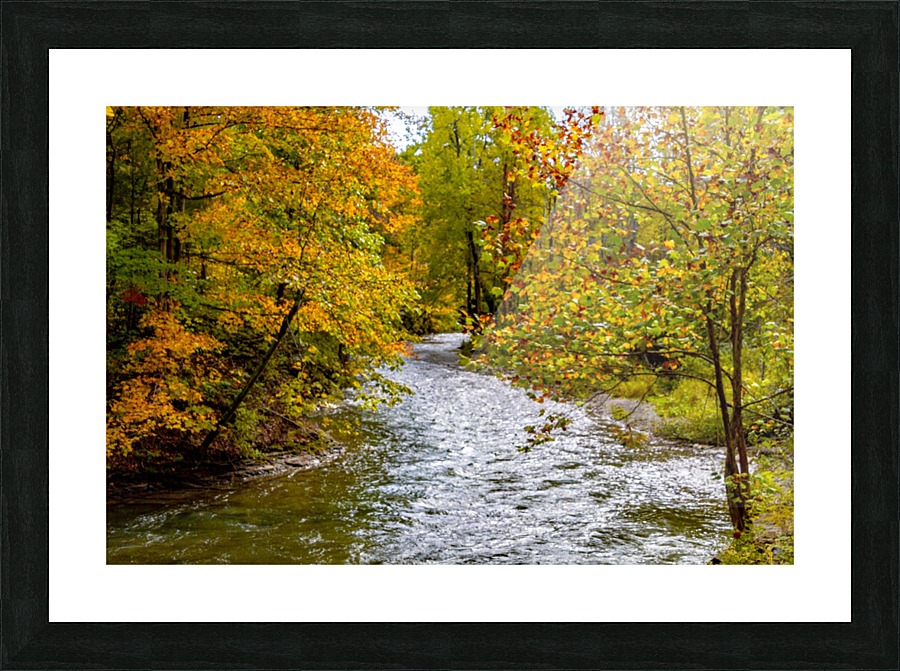 Outlet creek  Picture Frame print
