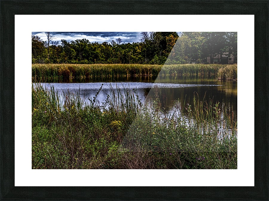 The Pond  Picture Frame print