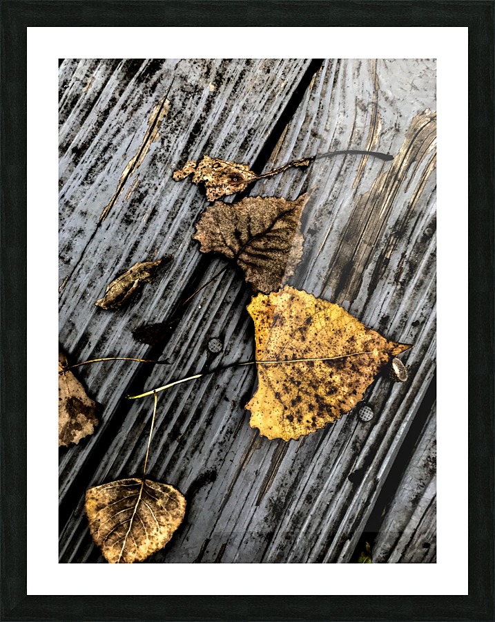 Autumn Picture Frame print