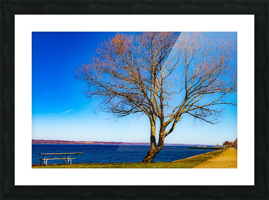 Seneca Springtime Picture Frame print