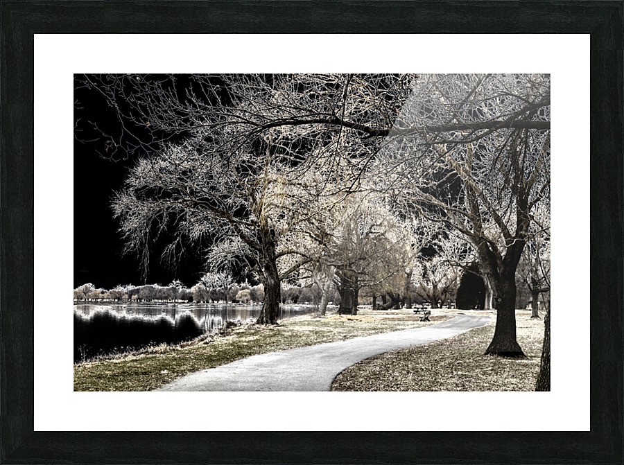 Seneca State Park Picture Frame print