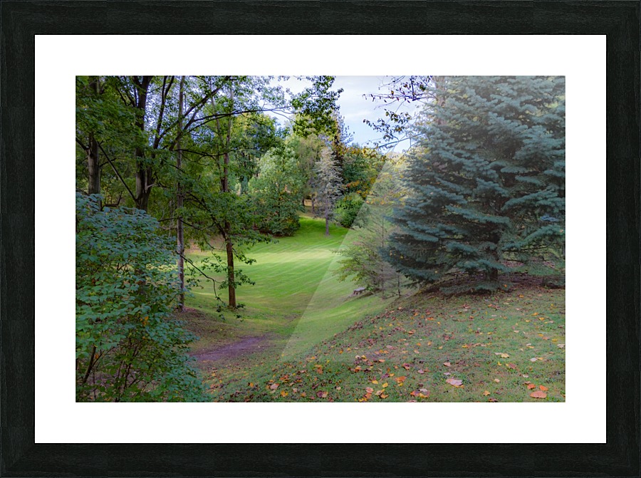 Highland Park 3 Picture Frame print