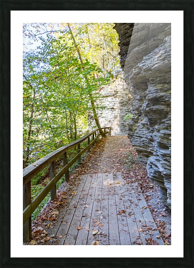 Eagle Cliff Falls 25 Picture Frame print