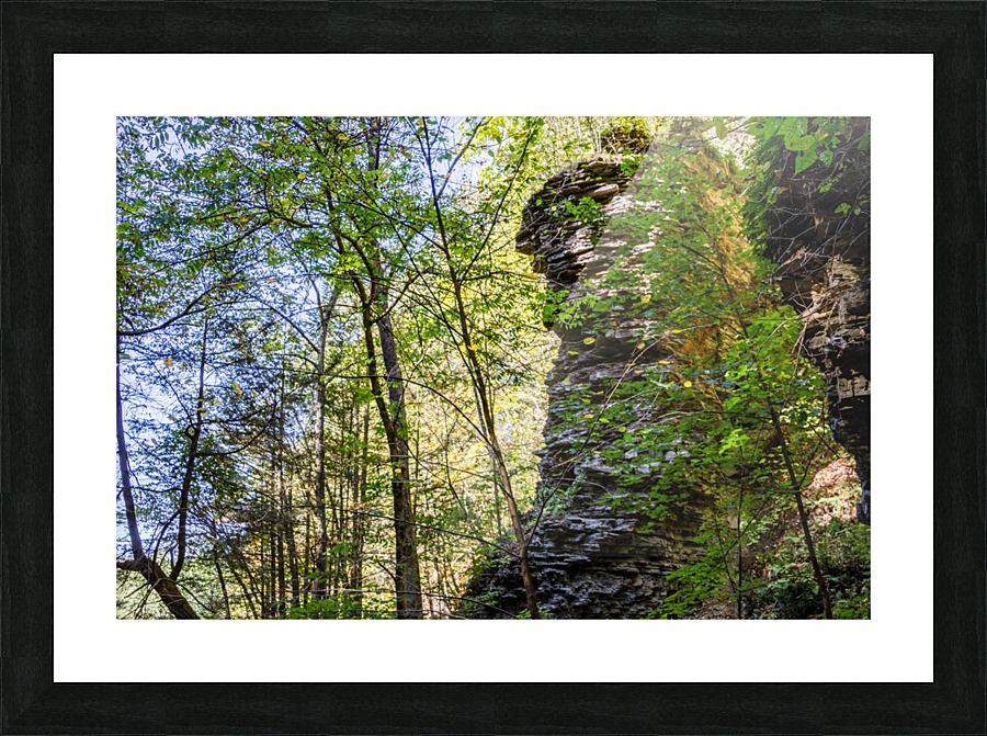 Eagle Cliff Falls 20 Picture Frame print