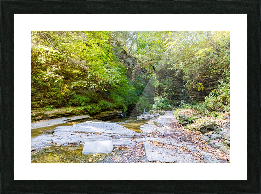Eagle Cliff Falls 13 Picture Frame print