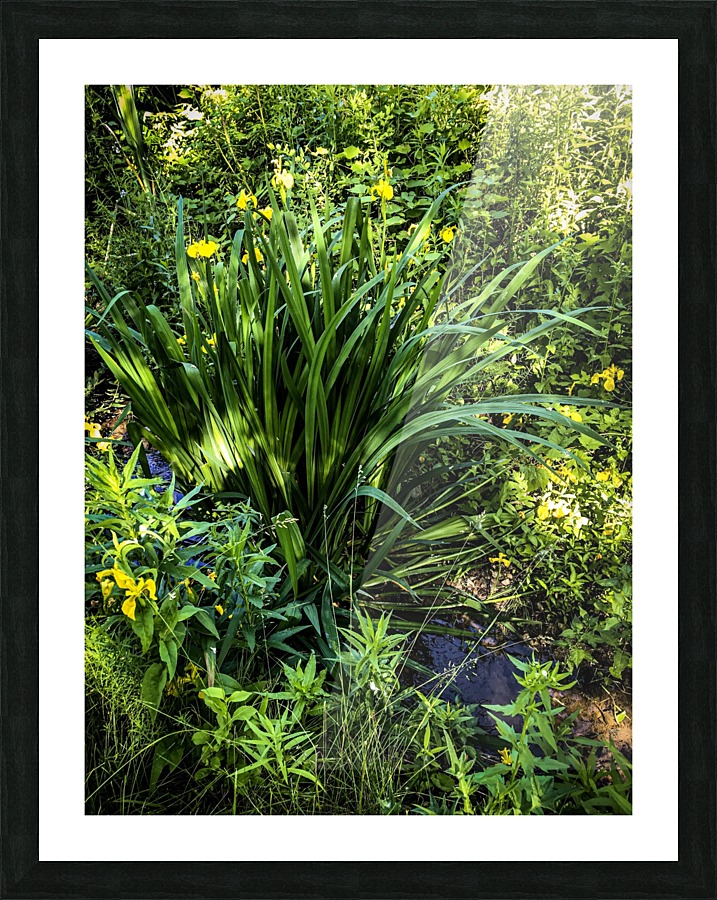 Nature Water Filter Picture Frame print