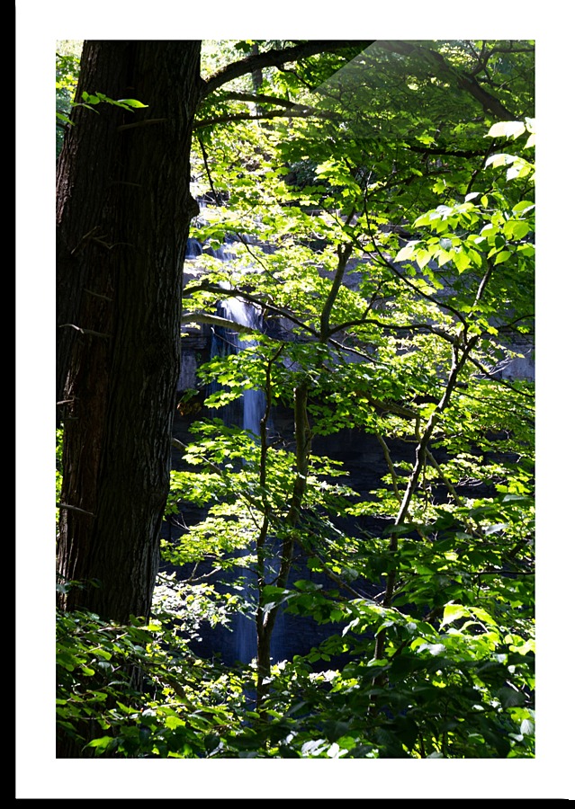 Carpenter Falls Picture Frame print