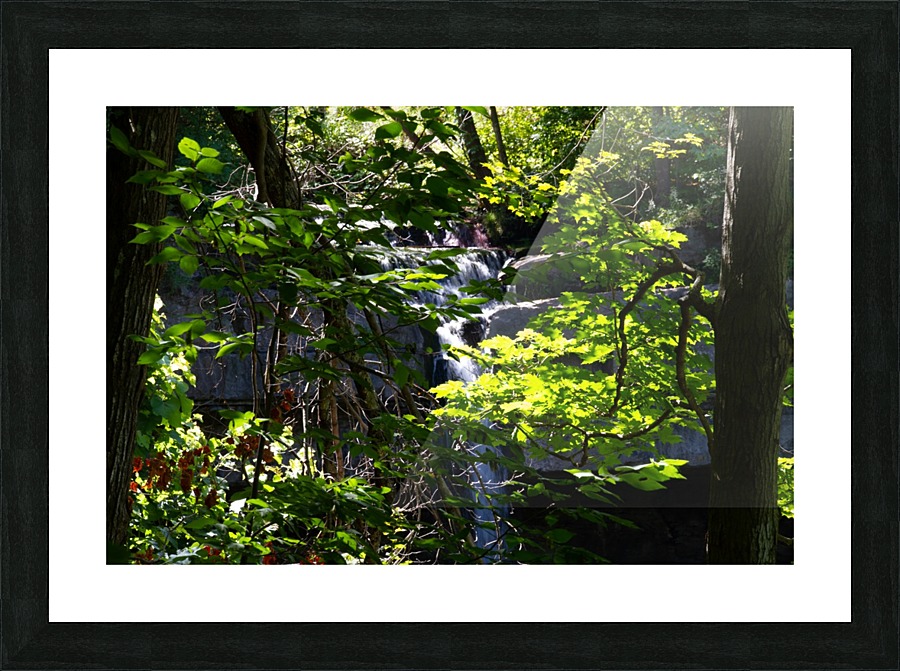  Fine Art print