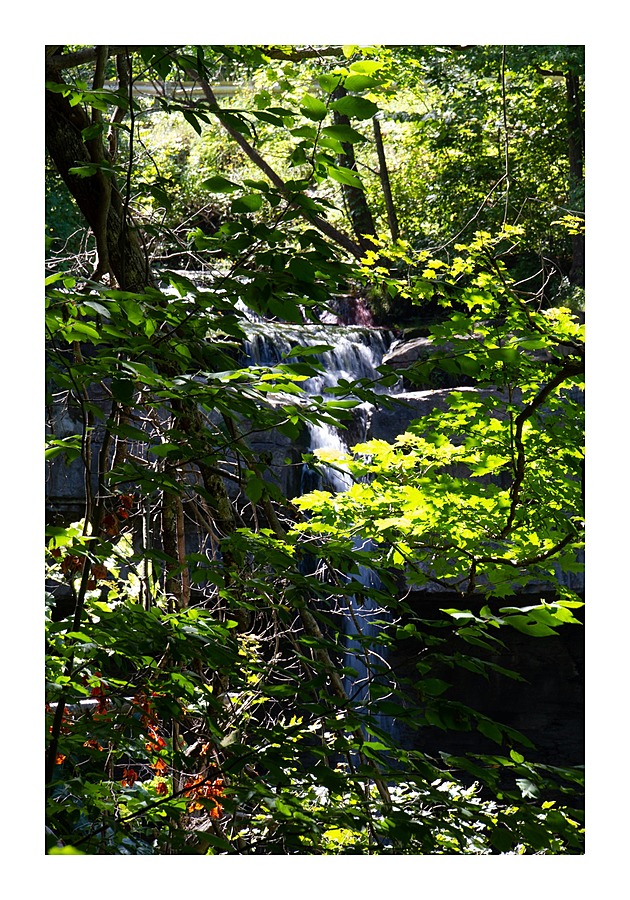 Carpenter Falls 2 Picture Frame print