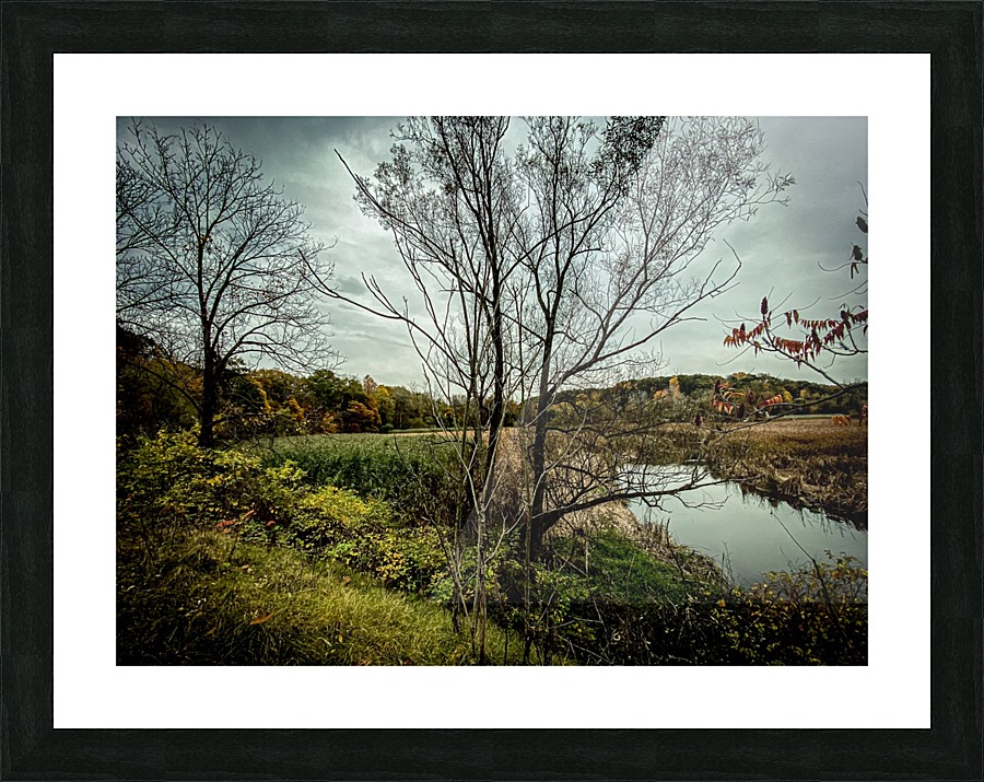  Fine Art print