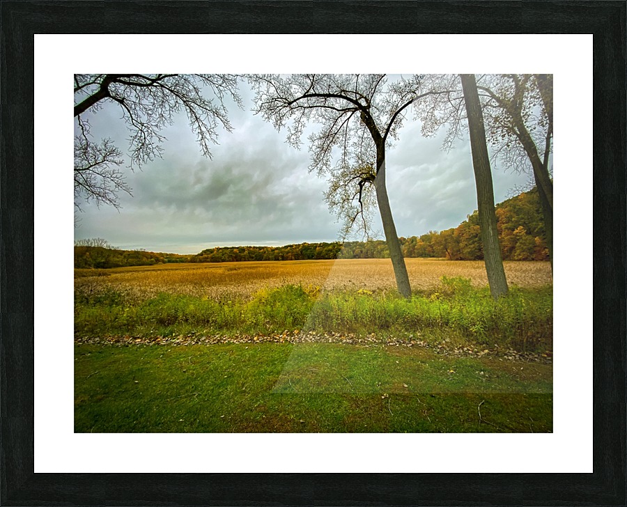  Fine Art print