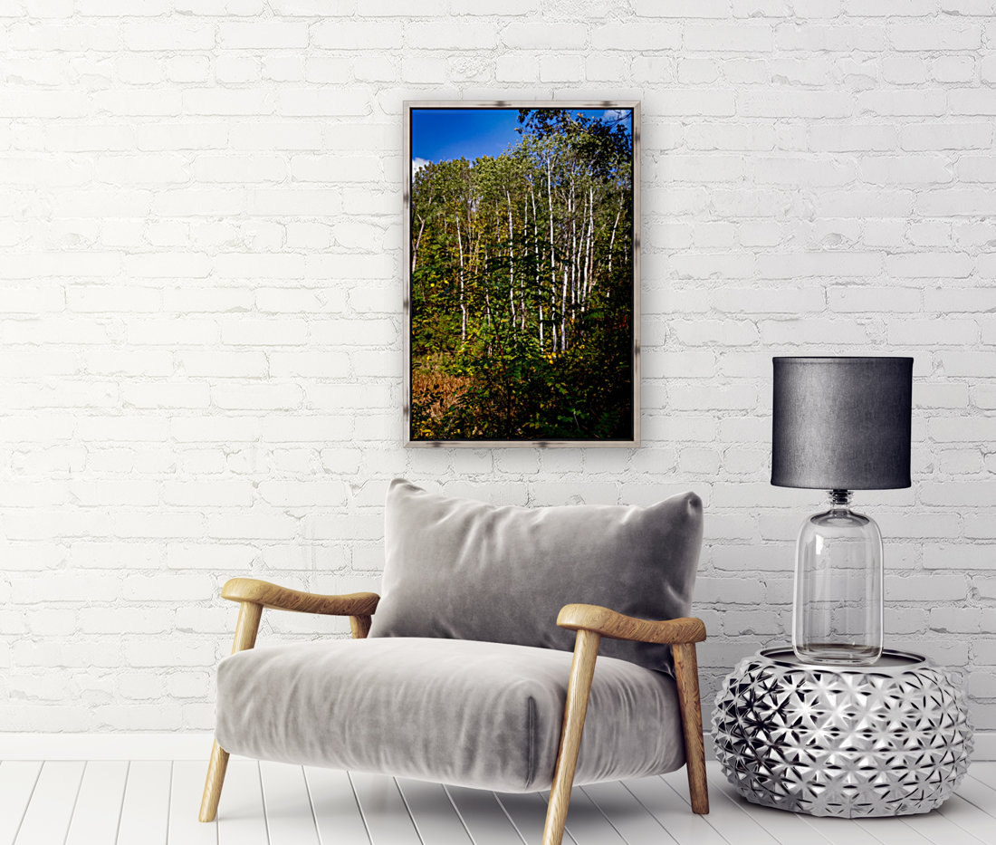 The Birches  Reproduction