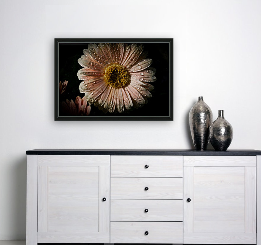 Daisy rain drop 3 Reproduction