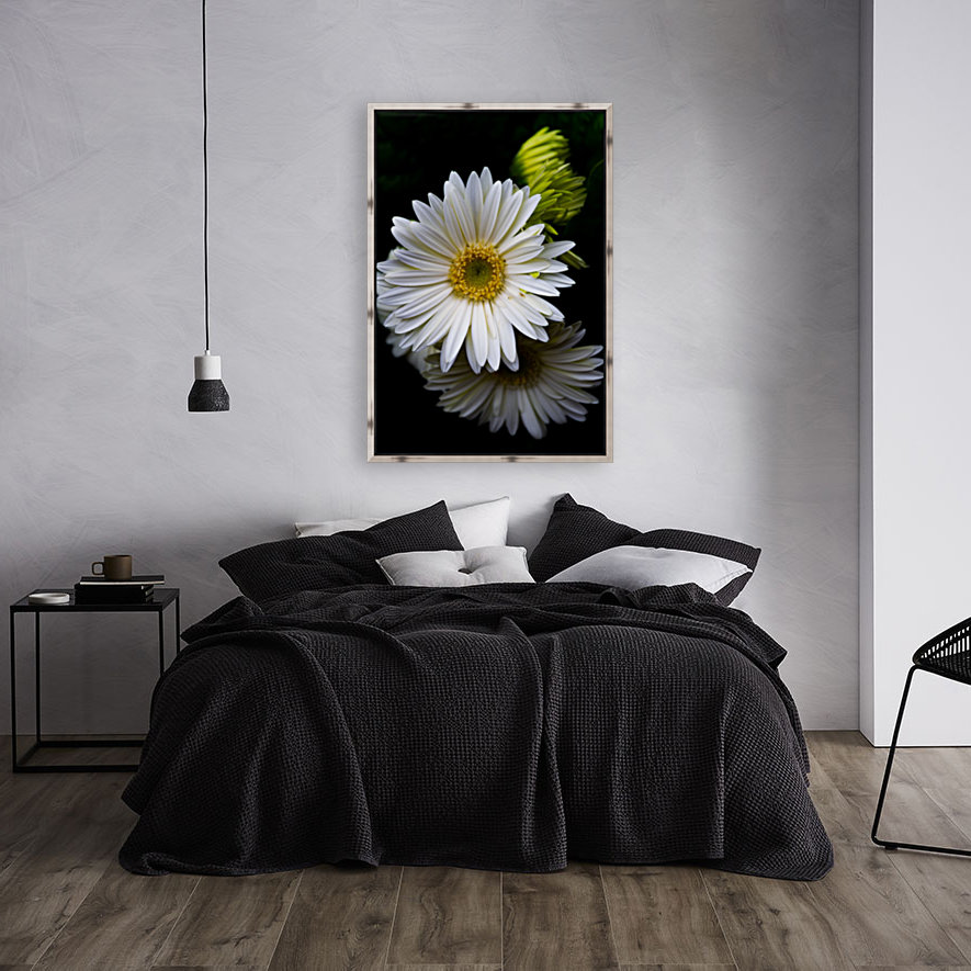 Daisy 6 Reproduction