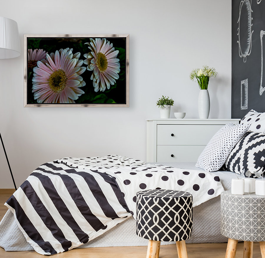 Daisy Reproduction