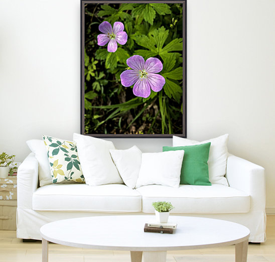 Wildflower Reproduction