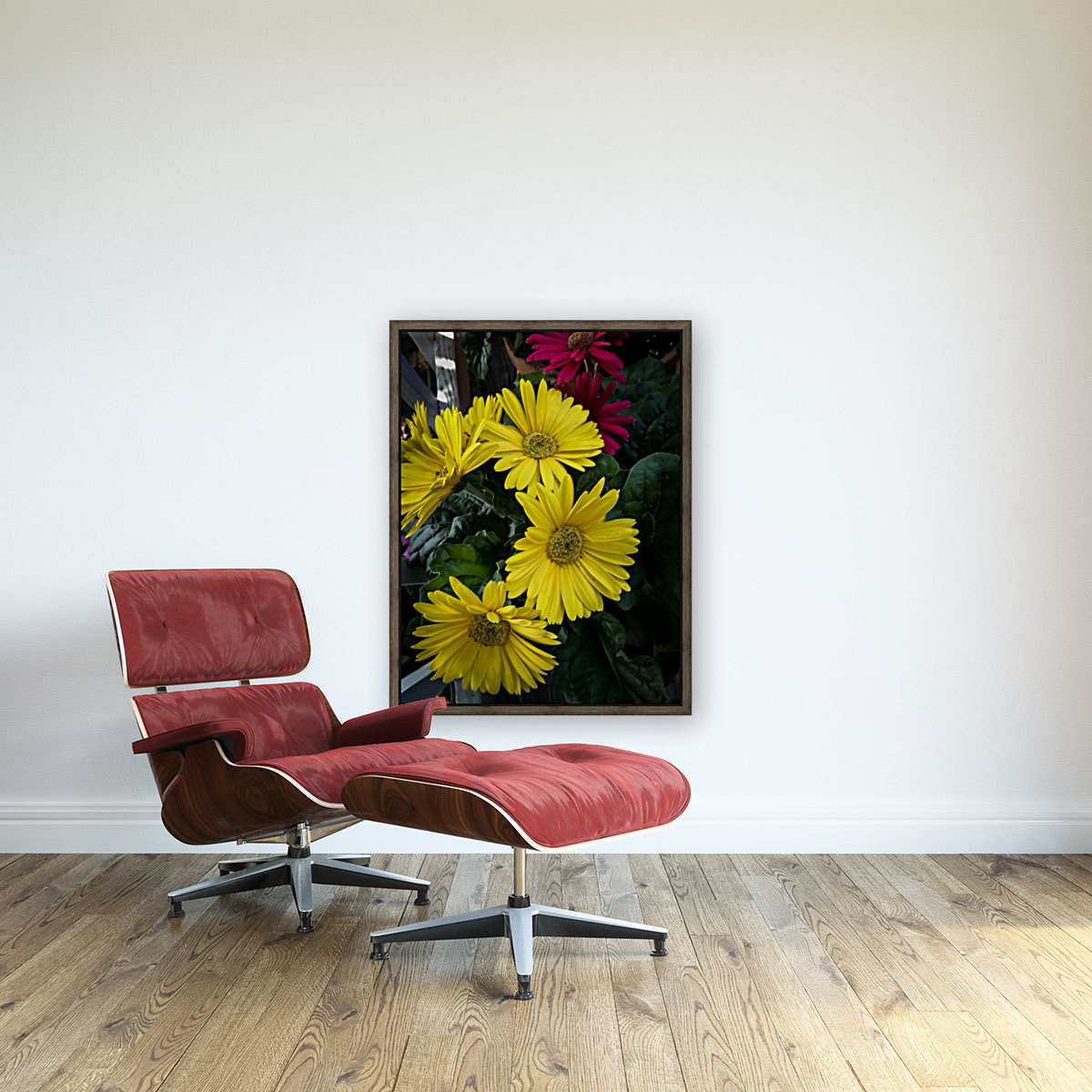 Gerbera Daisy Reproduction
