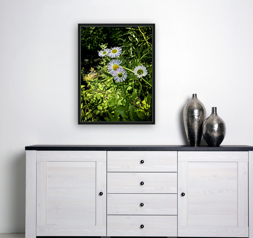 Wildflowers Reproduction