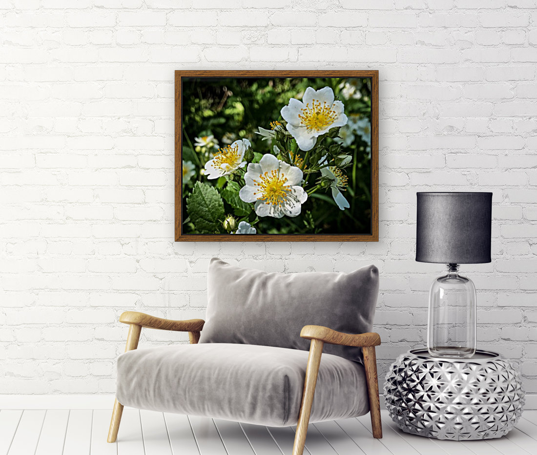 White Wildflowers  Reproduction
