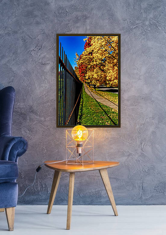 Autumn by the fence  by William Norton Photography