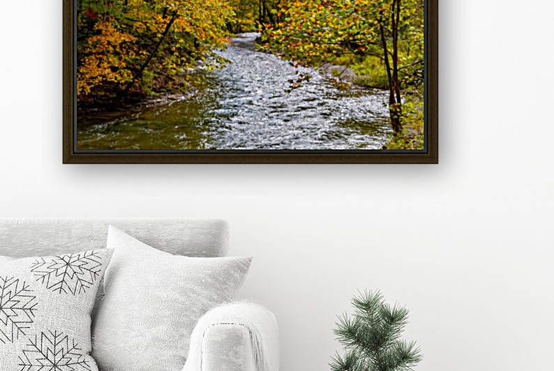 Outlet creek  Reproduction