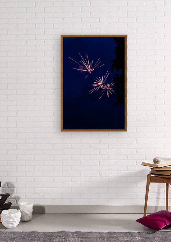 Fireworks 2019 2 Reproduction