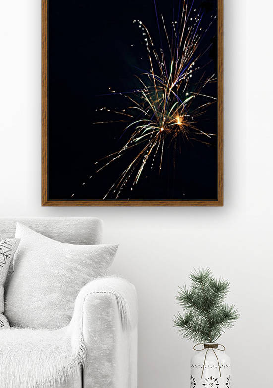 Fireworks 2019 30 Reproduction