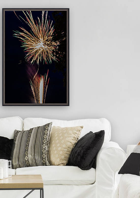 Fireworks 2019 39 Reproduction
