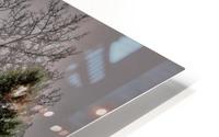 Steadfast HD Metal print