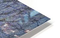 Frozen Tree HD Metal print