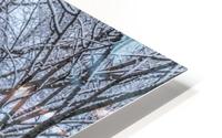 Winter punch HD Metal print