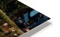 The Pond  HD Metal print