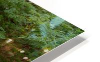 Holley falls HD Metal print